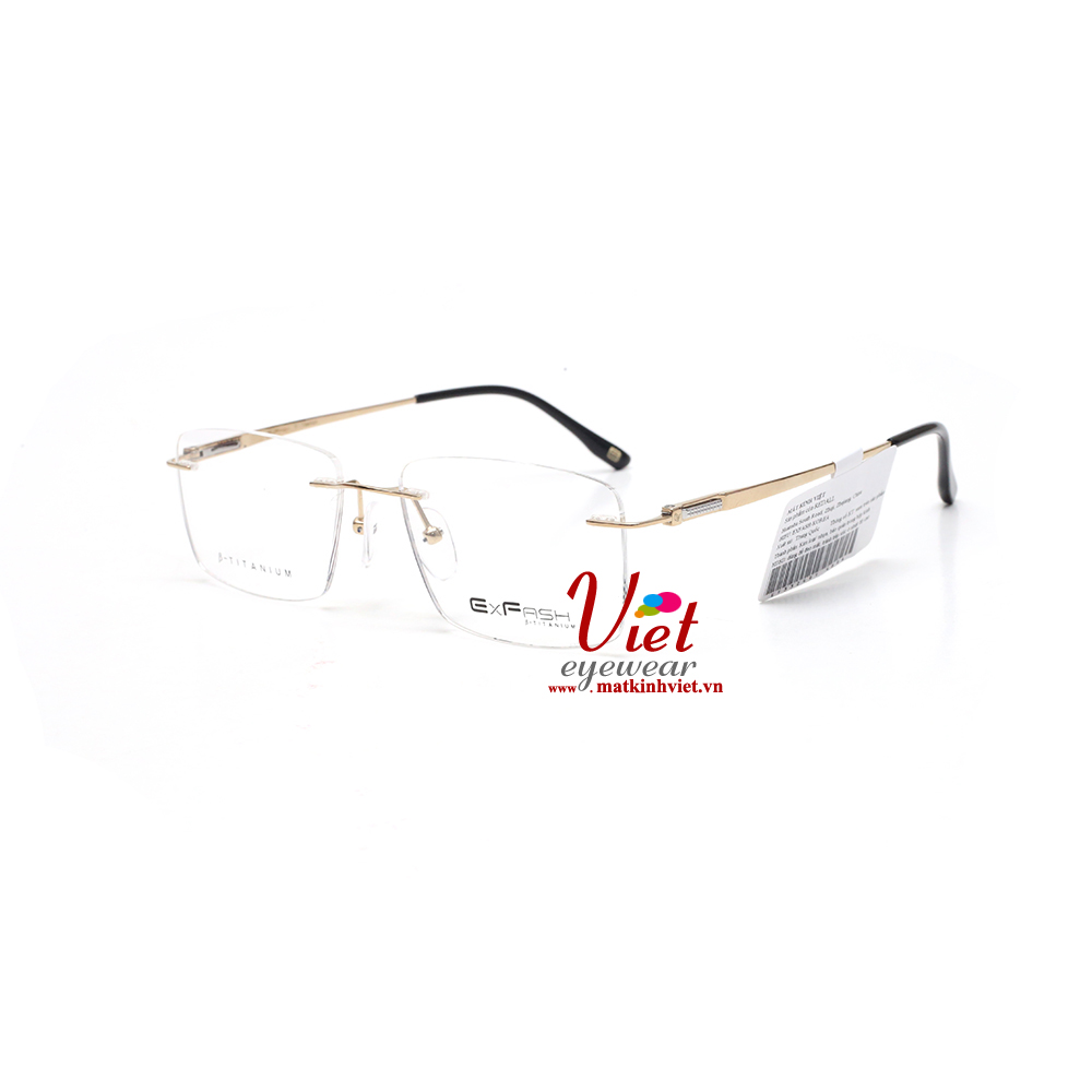 Gọng kính Exfash EF33249T 489A